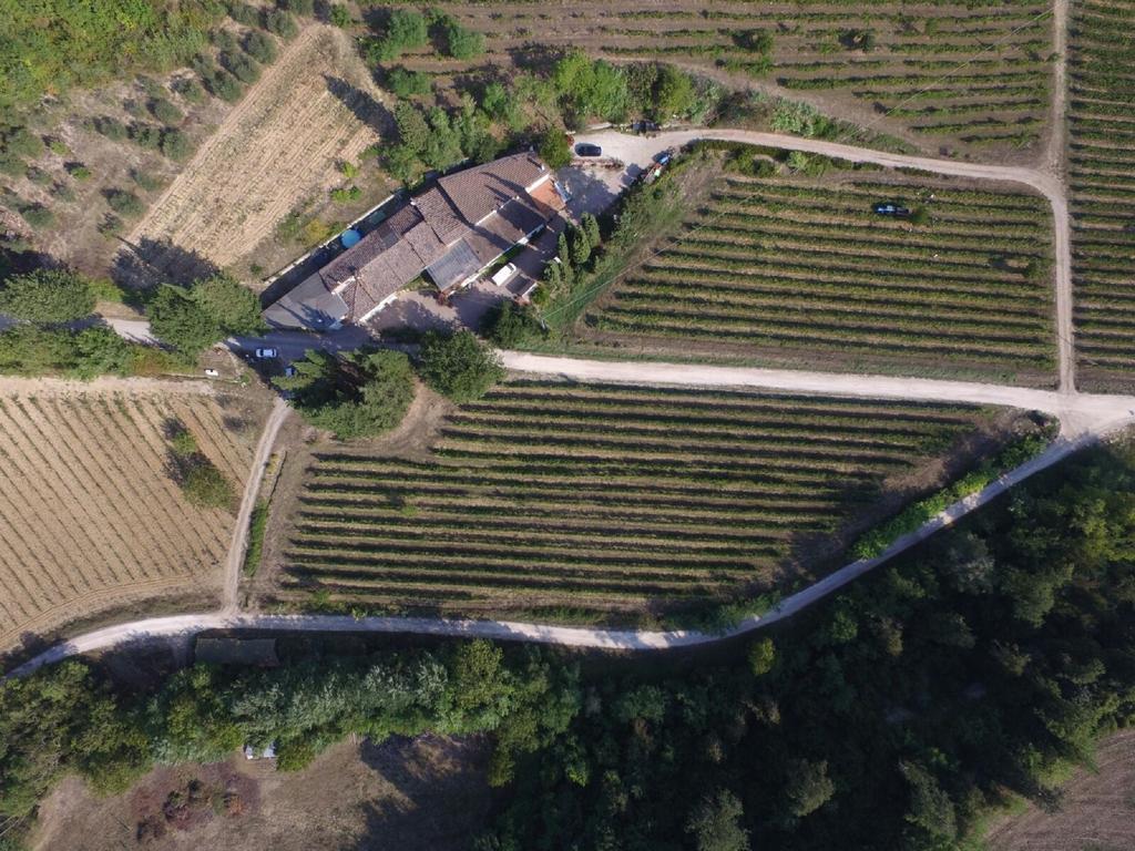 Agriturismo Lucciano San Casciano in Val di Pesa Exterior foto